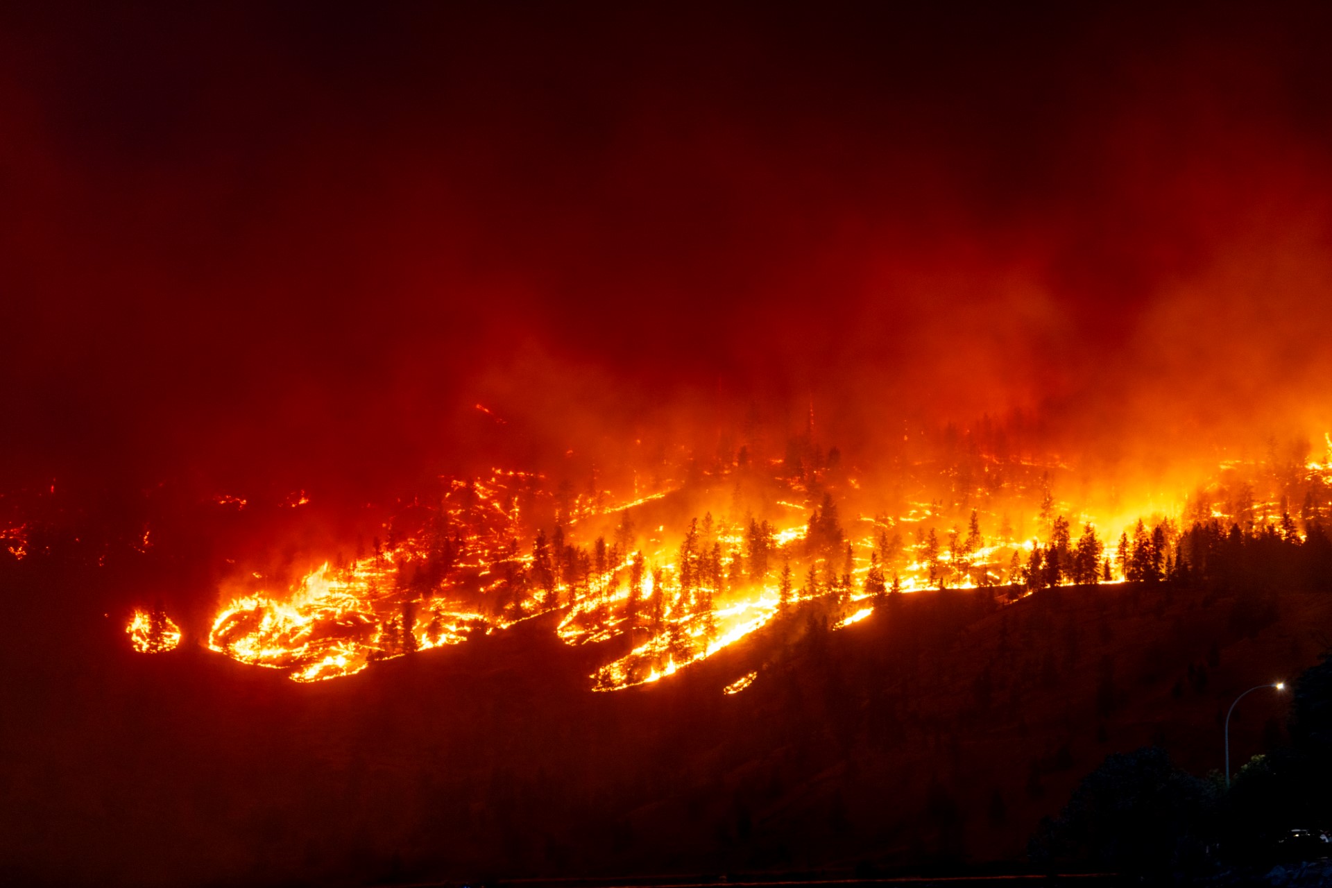 Western Canada wildfires force tens of thousands to flee
