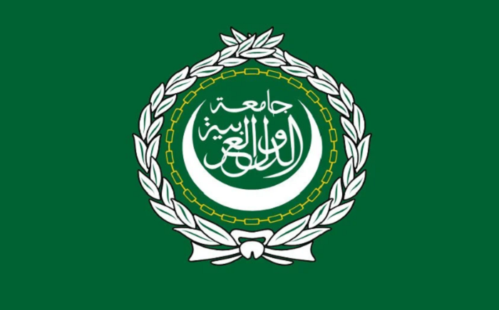 Arab League welcomes African Union's membership in G20