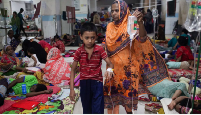 Death toll from dengue rises to 741 with 11 more deaths