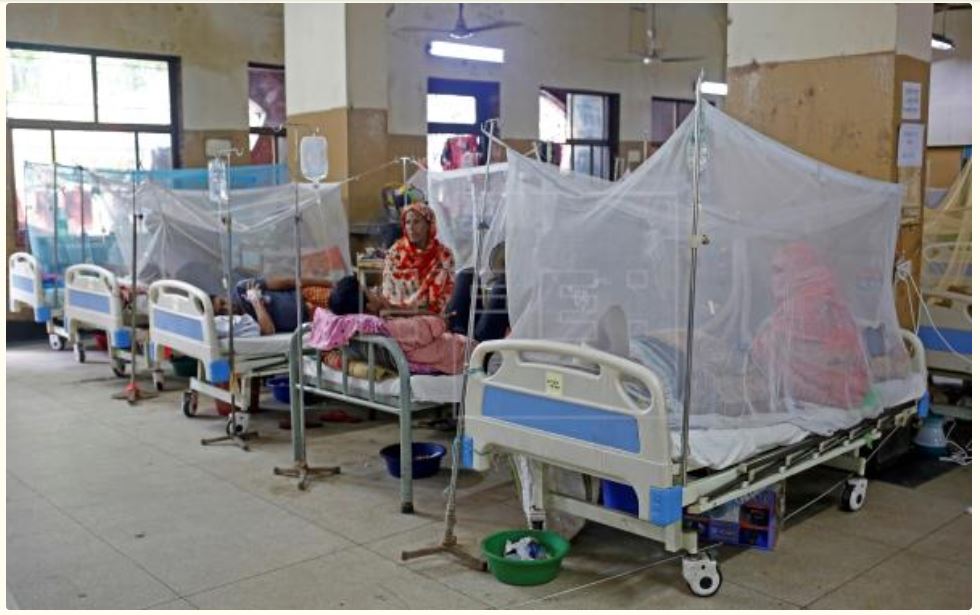 Dengue death toll surpasses 900; over 3000 cases reported in 24 hrs

