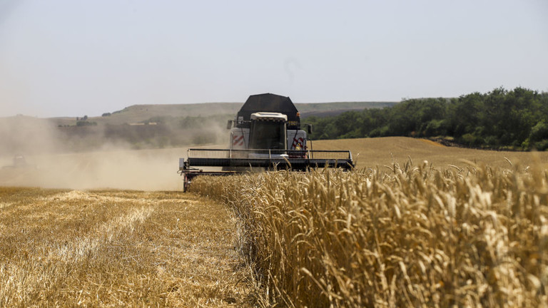 Russia sends food aid to Central African Republic

