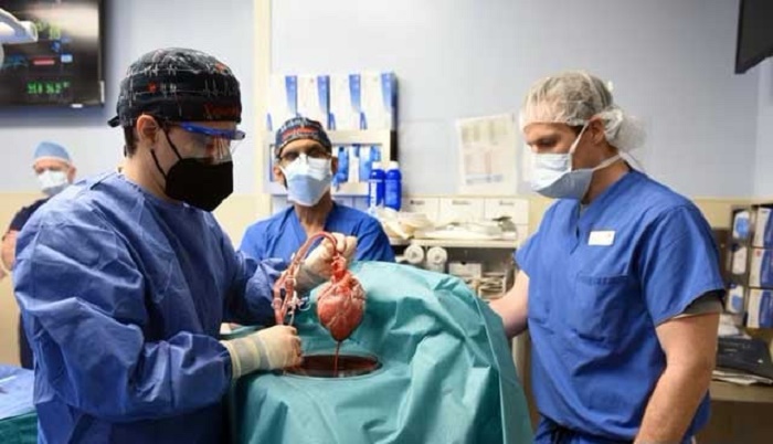 US experts carry out second pig-to-human heart transplant