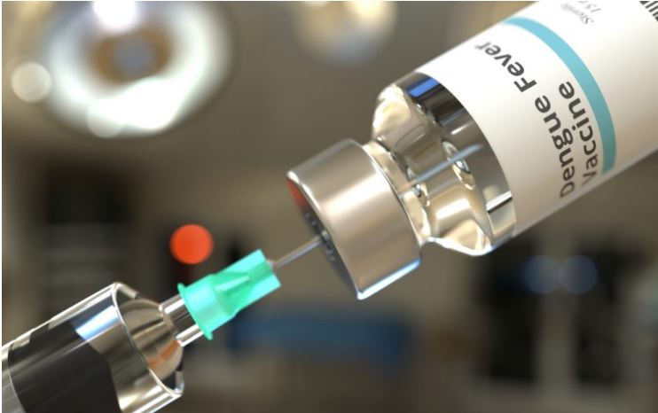 Govt working to procure dengue vaccine: DGHS

