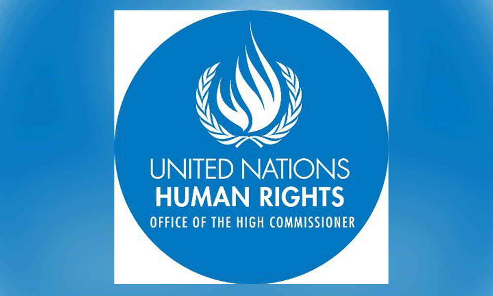 UN expert calls for decisive protection of Palestinian children under Israeli rule