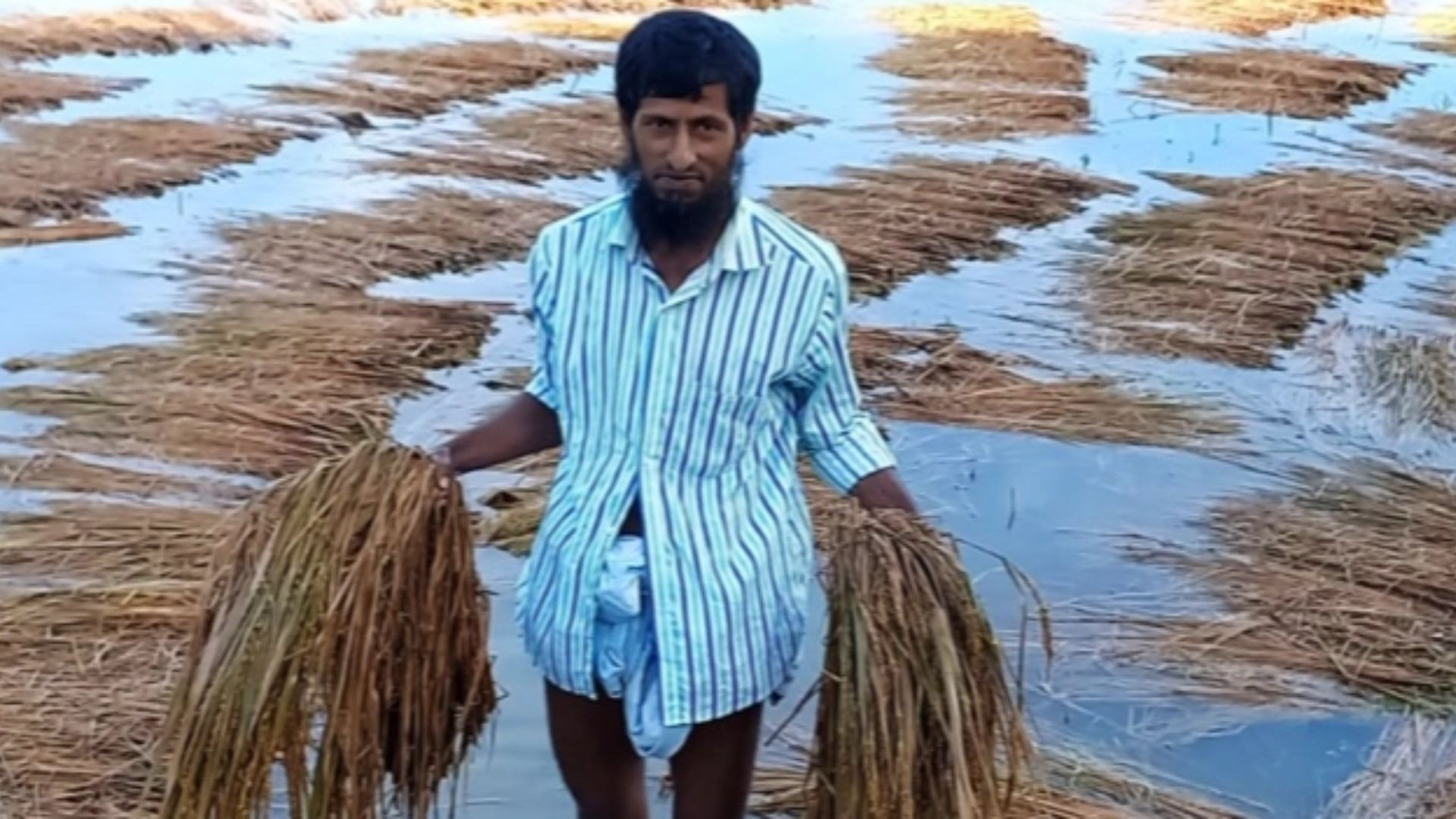 Cyclone Midhili: Large-scale damage reported to crops in Chandpur