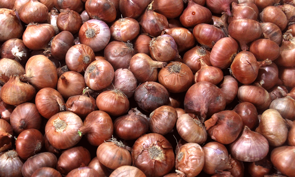 DB chief warns of action against hoarding of onions