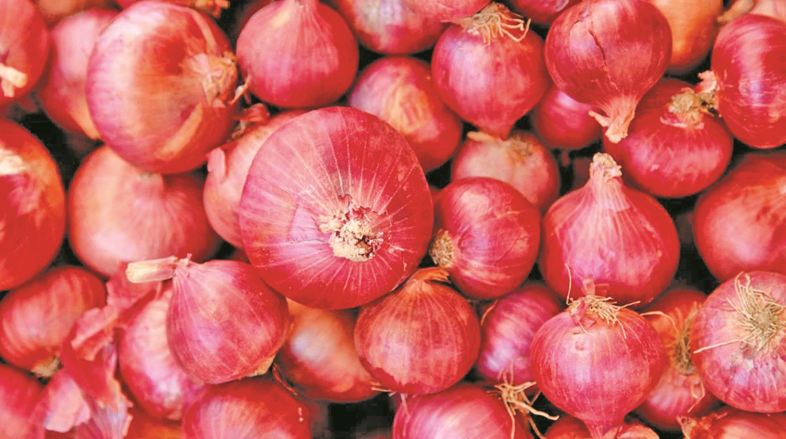 Onion imports from other markets needed to increase supply