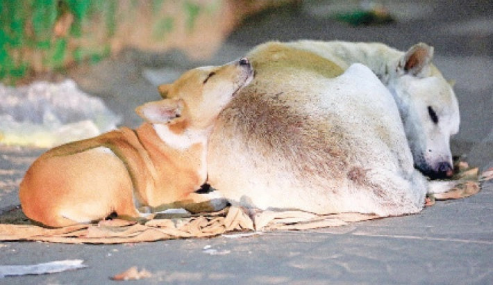 Winter tightens icy grip