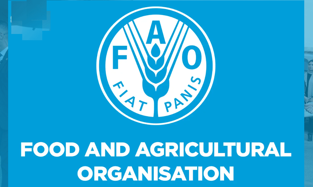 Dhaka should strengthen relations with South Asian, Central Asian countries