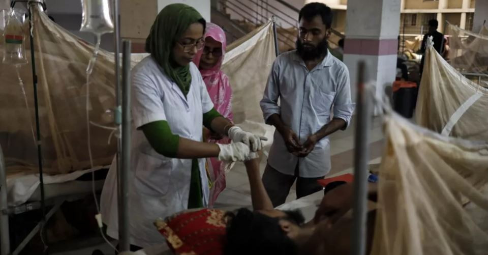 8 more dengue patients hospitalised in 24hrs