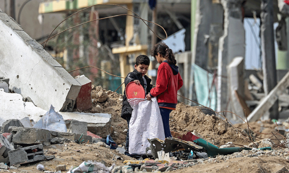 Dead horses, scraps, leaves: Gaza's hungry get desperate