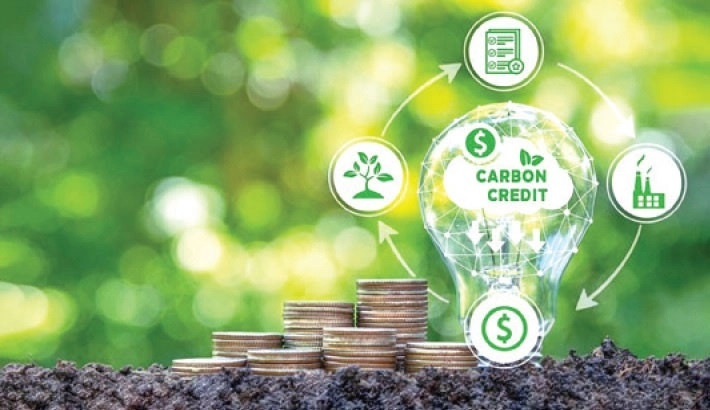 Carbon markets to play crucial role in energy transition: IEF