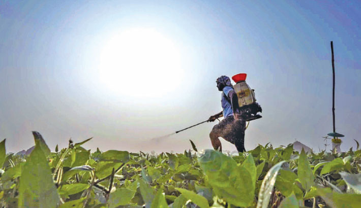Indian farmers hit hard by extreme weather. Is expanding natural farming the answer?