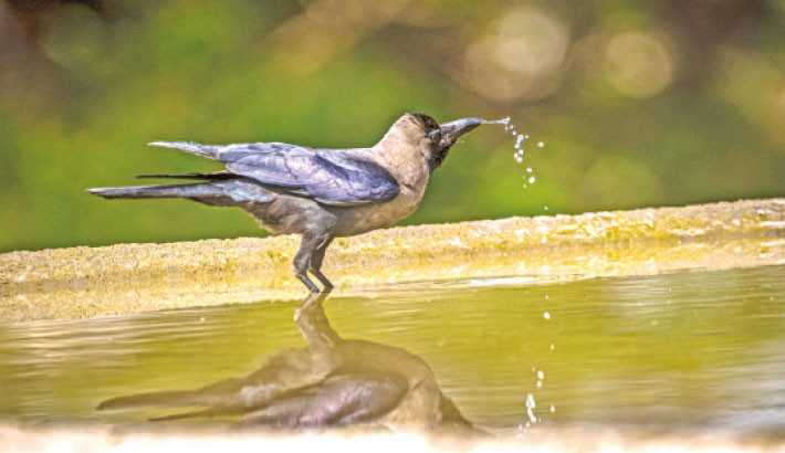 Harsh bout of heat continues disrupting normal life