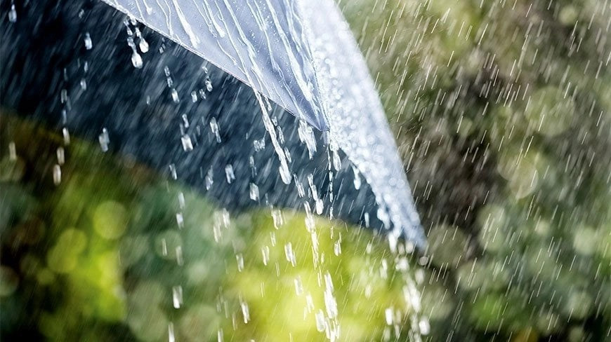 Rain likely in Chattogram and Sylhet within 24 hours