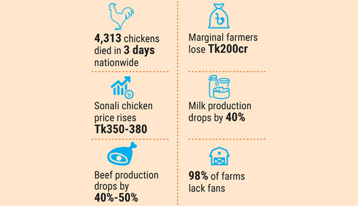 Oppressive heat wave burns livestock, poultry sectors!