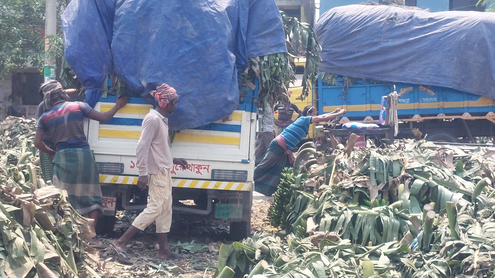 Chuadanga sees hottest day in 10 years as temperature hits 43°C