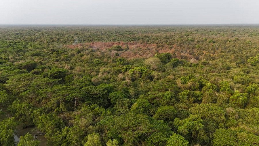Firefighters douse 3 new limited-scale flames at Sundarbans