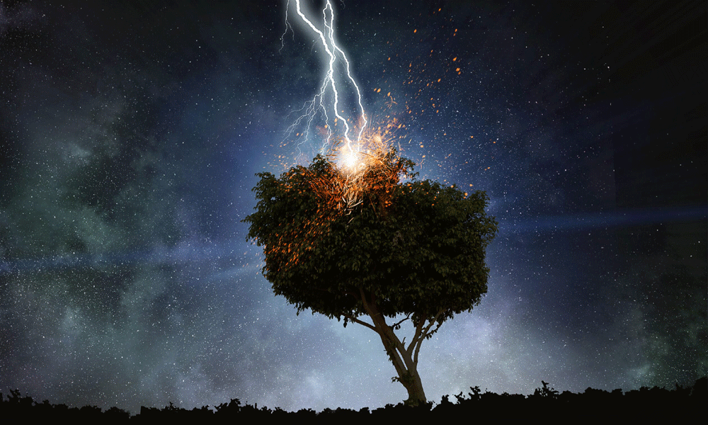 Lightning kills 2, injured 6 in Bagerhat