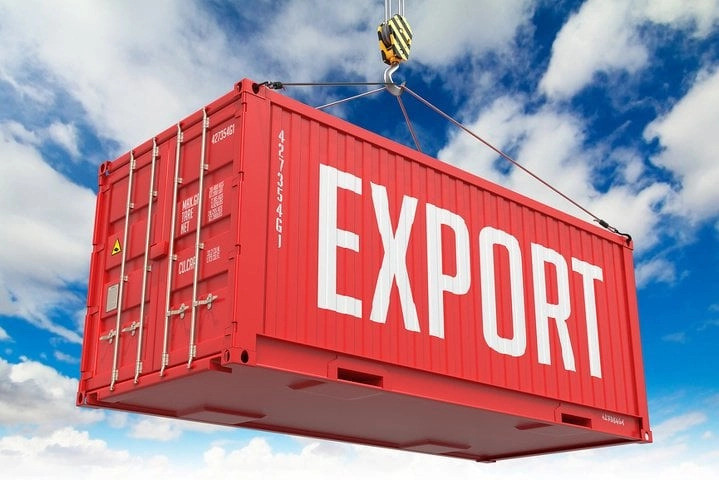 Govt prioritises new products for export diversification