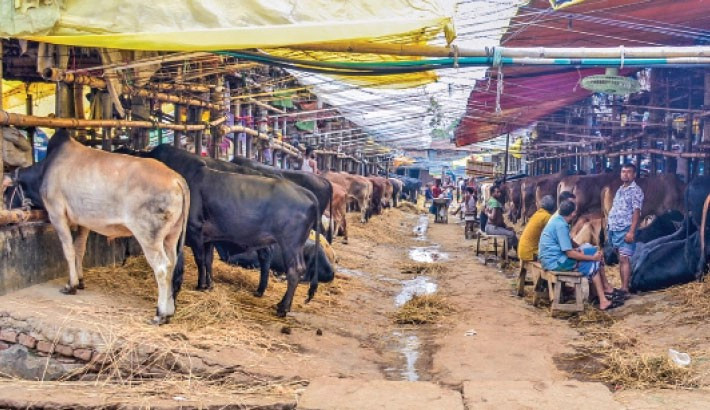 Waste at cattle market, sacrificial sites to be cleaned at the ward-level: Taposh