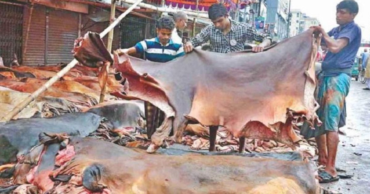 DMP remains vigilant against possible syndicate over rawhide trade: Habibur