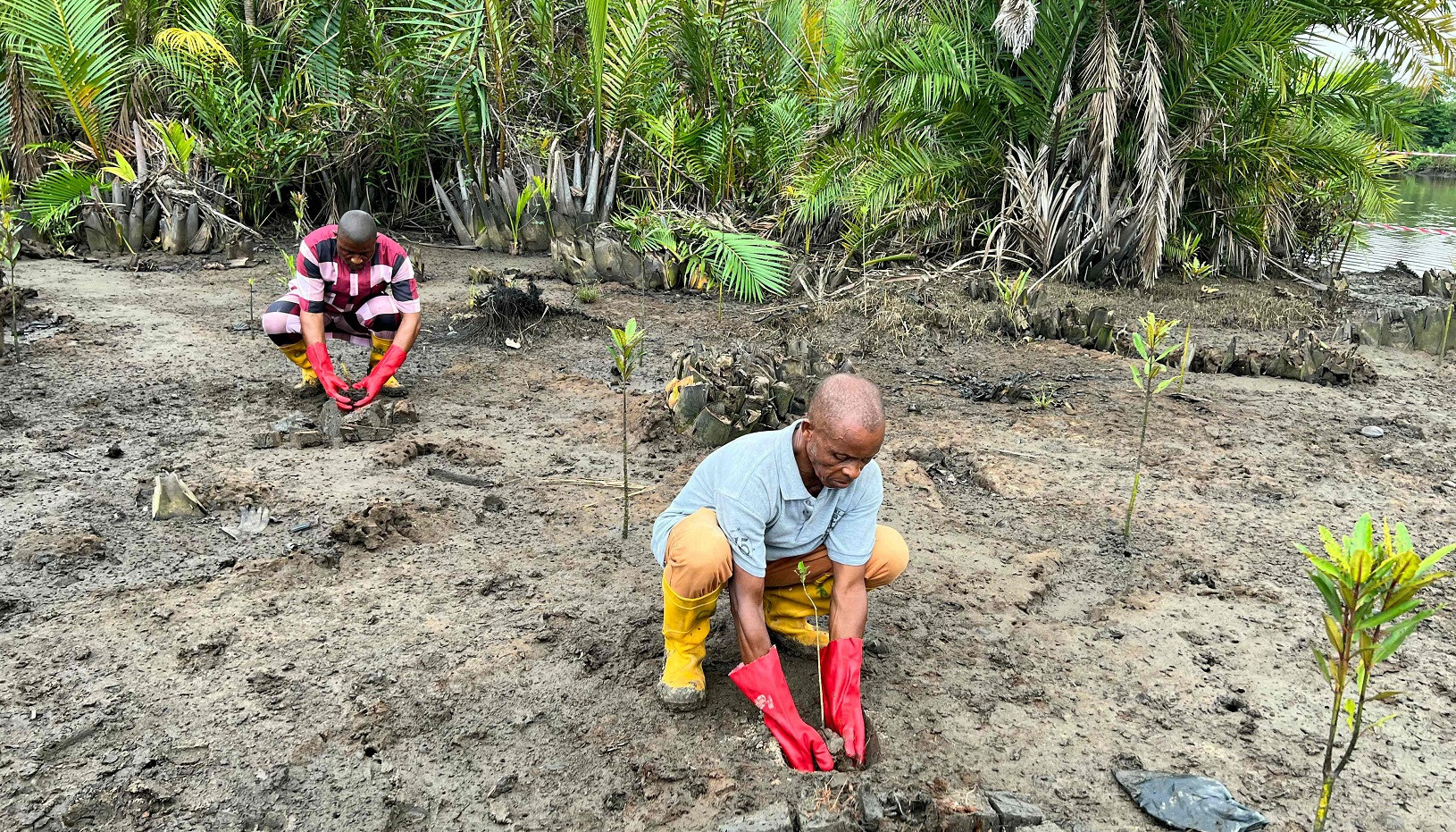 18 killed in multiple Nigeria suicide attacks