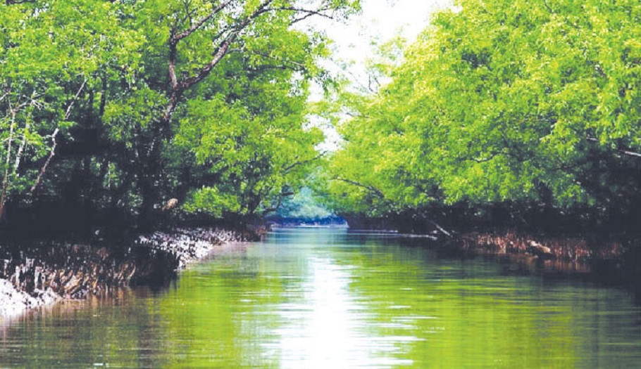 Sundarbans getting back to normalcy a month after cyclone Remal
