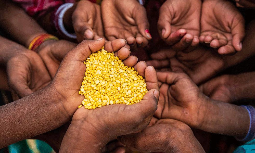 Food insecurity to remain fragile in Bangladesh: FAO report