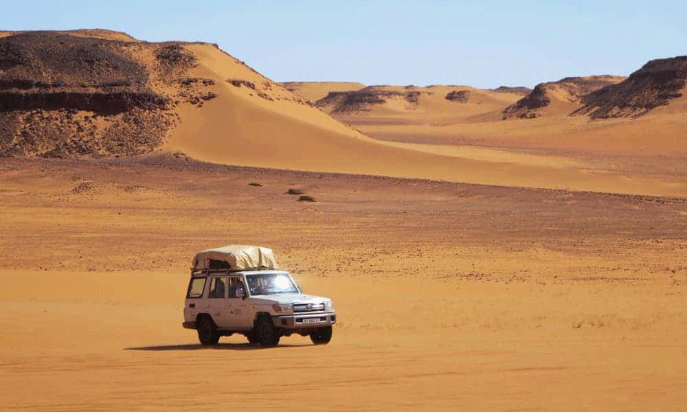 12 Syrian migrants among 14 found dead in Algeria desert