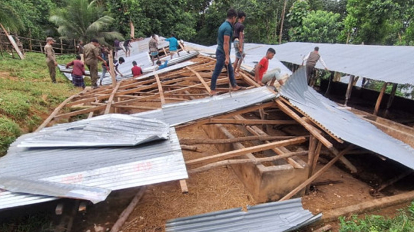 55 acres of forest land recovered