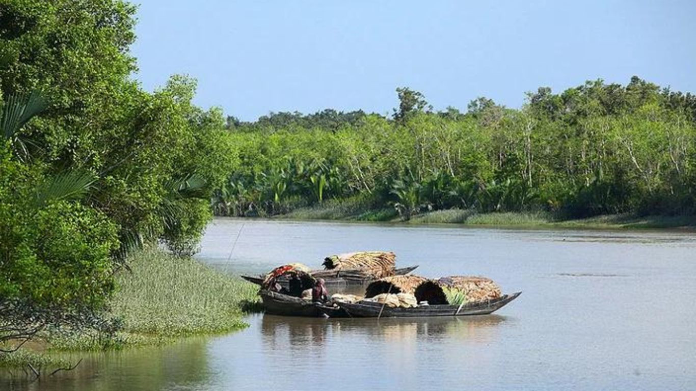 Sundarbans set to reopen Sunday after 3-month closure