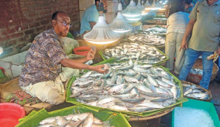 Hilsa price remains high despite increased supply in Jhenaidah