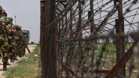 BGB announces high alert in Kushtia Border to check sneaking