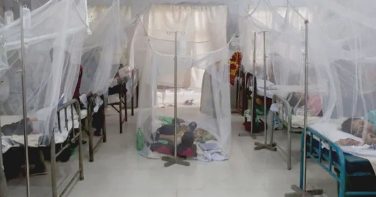 Dengue takes 3 more lives, 1,033 hospitalised in last 24hrs