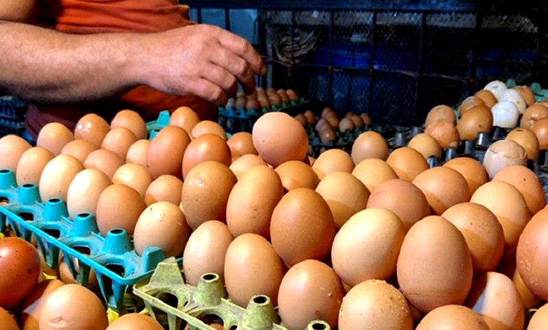 Govt set to launch farm-to-market scheme Thursday