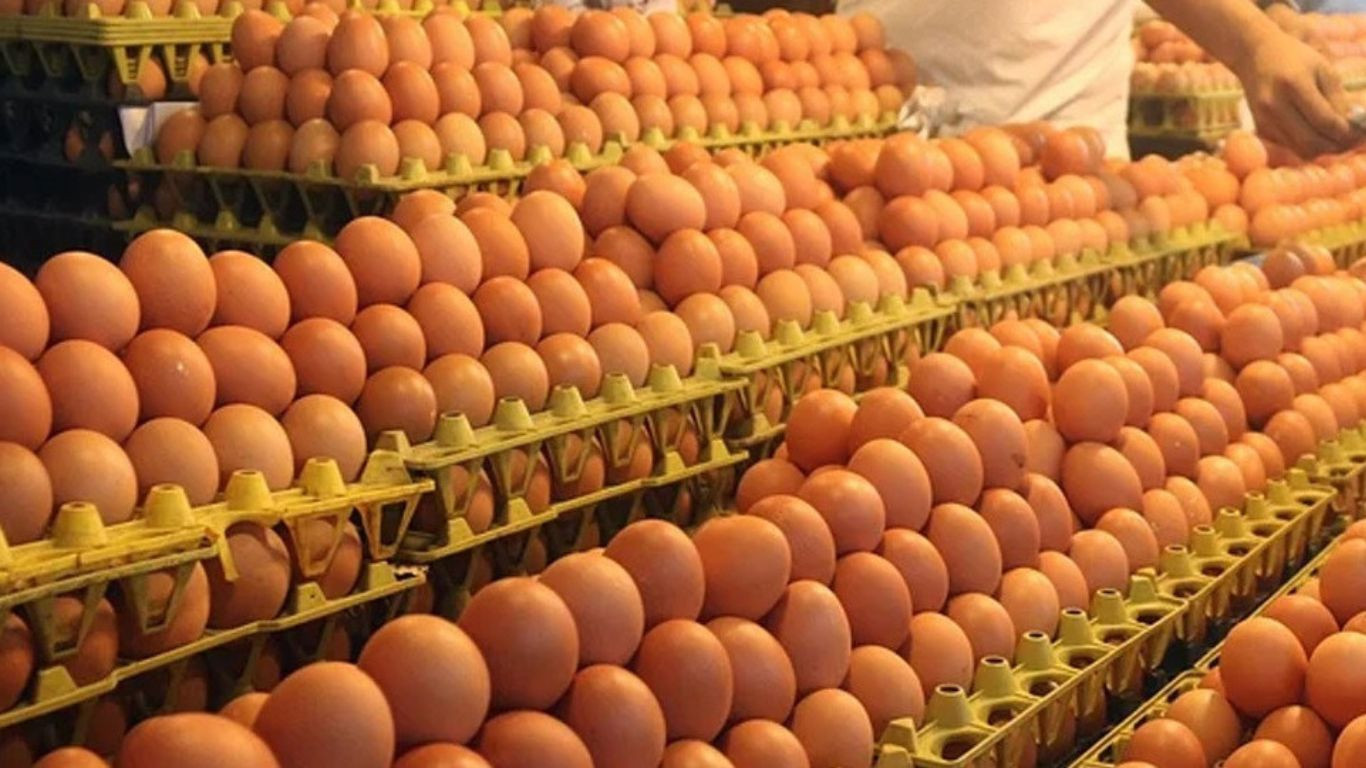 Another shipment of 231,840 eggs hits country’s market today