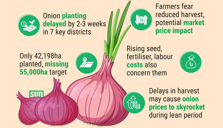 Heavy rains throw murikata onion farming off track