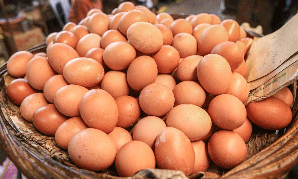 Egg to be sold at low price in Dhaka from Sunday