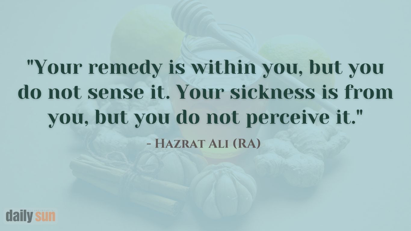 Quotes of the Day (13 Nov 2024)