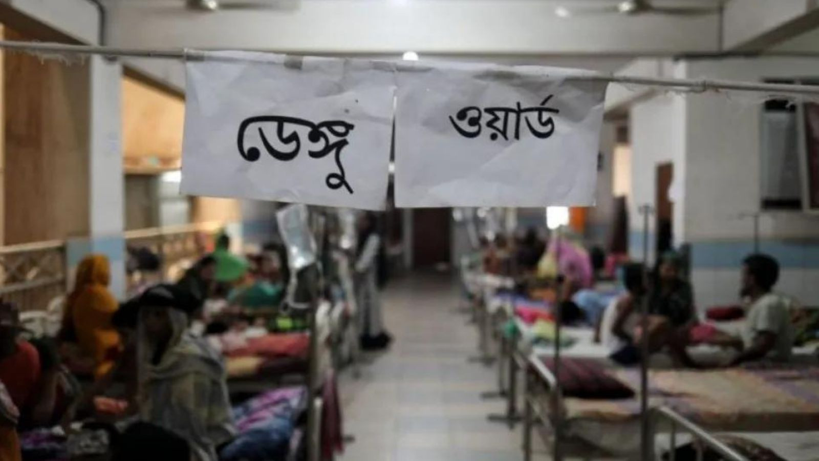 Dengue: 3 more die, 705 hospitalised in 24hrs