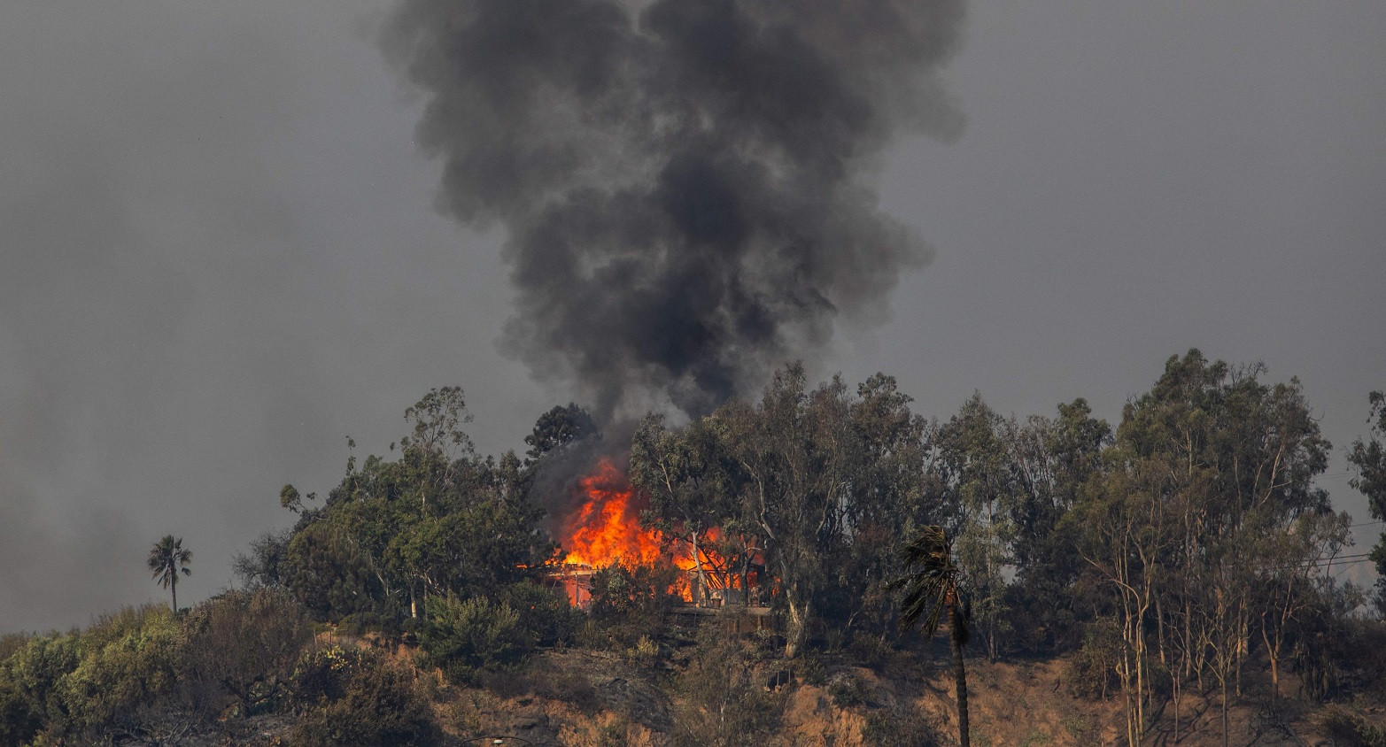 Air tankers fight Los Angeles fires from frantic skies
