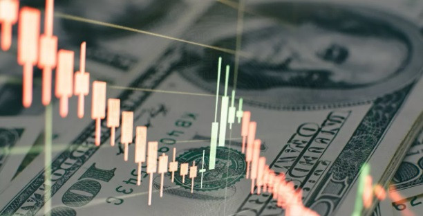 Forex reserves fall below $20b