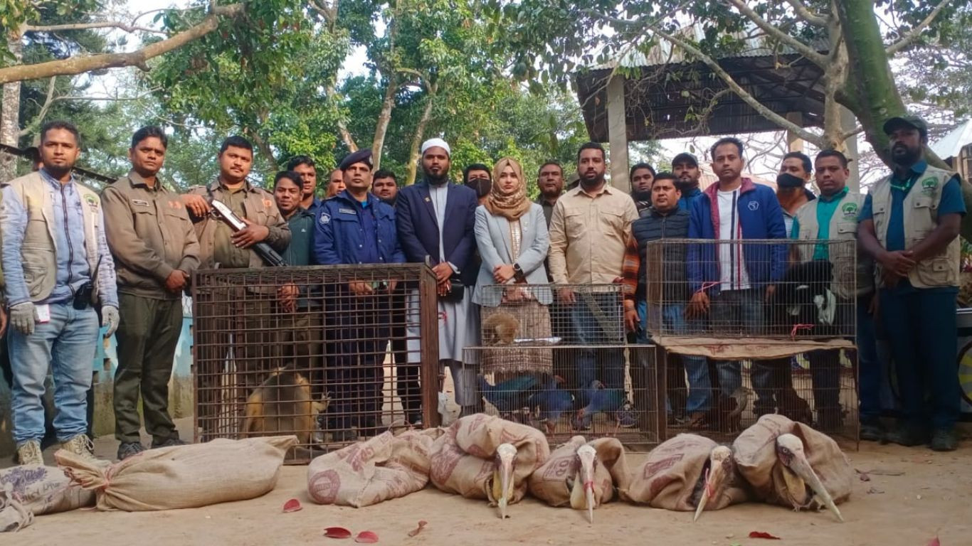 74 wild animals rescued in Dinajpur