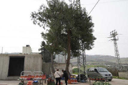 After Gaza ceasefire, West Bank Palestinians face Israeli barriers, miseries