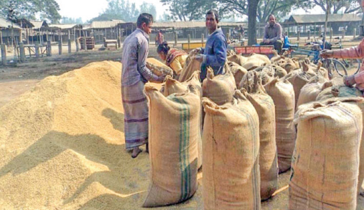 Govt paddy procurement tussles in Bagerhat despite ample harvest