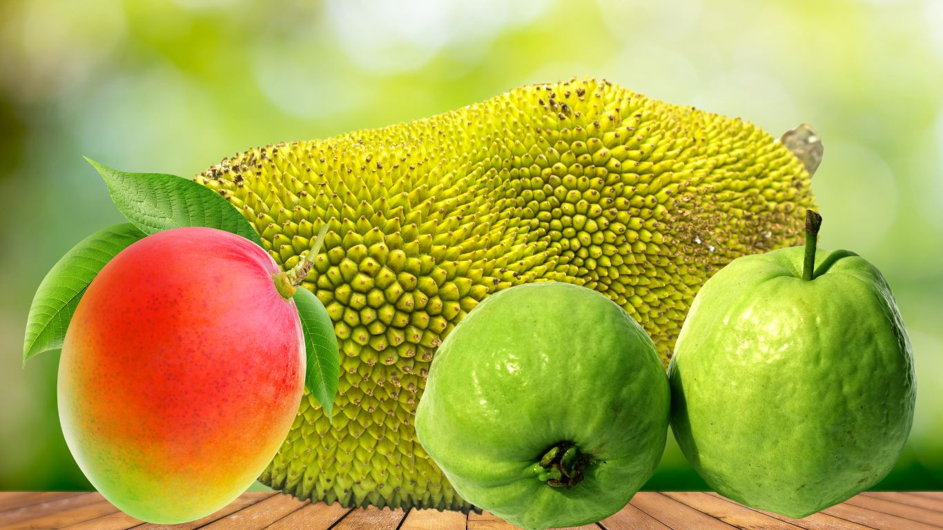 CA’s China visit to open new horizon for fruits export: Shafiqul Alam