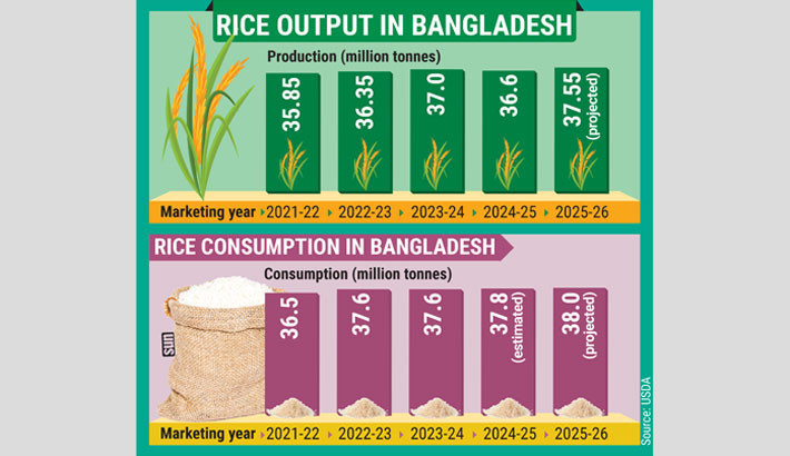 Rice production to soar amid rising demand