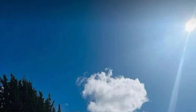 Mild heat wave sweeping 7 dists