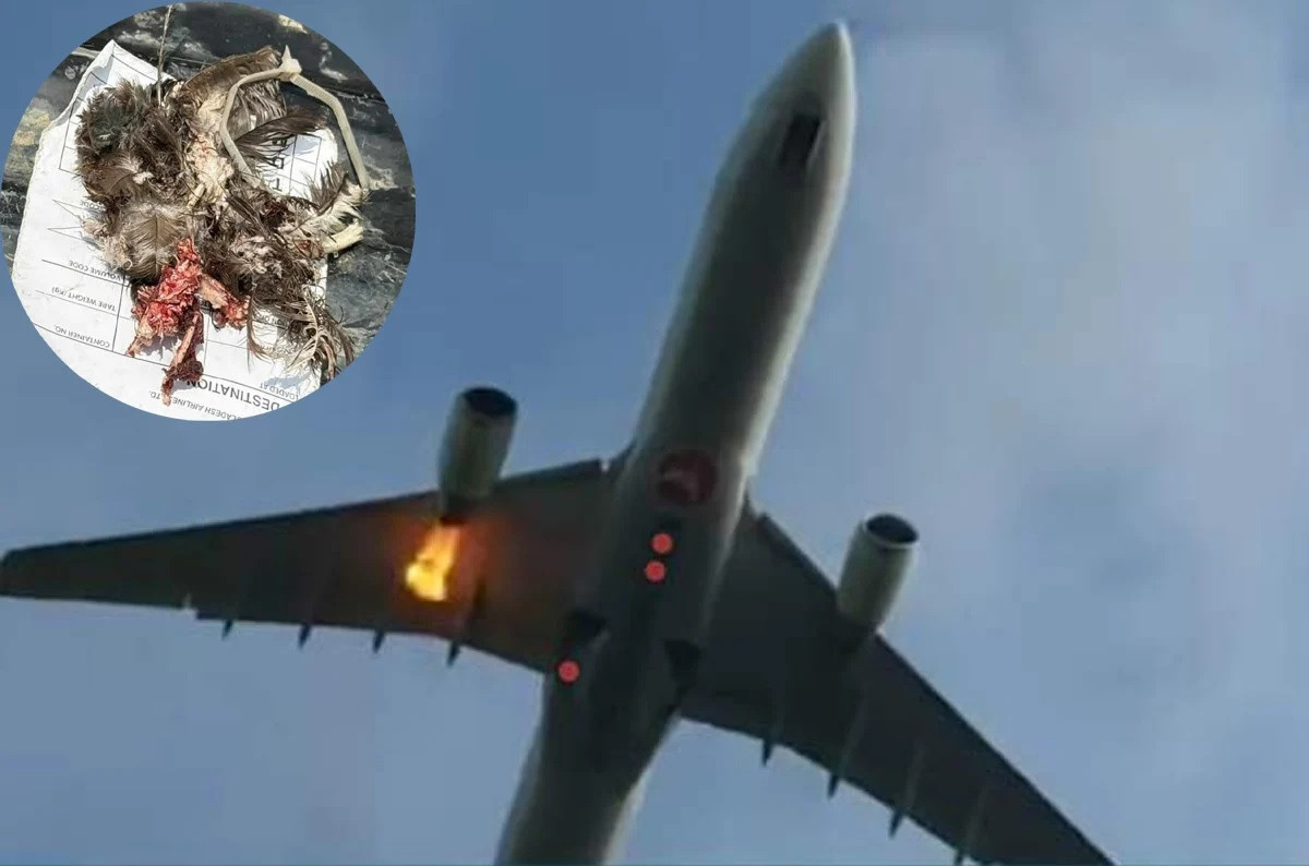 Turkish Airlines flight makes emergency landing in Dhaka after engine fire